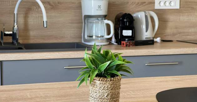Luksuzni apartman Bonum 1 –  Pogled more i balkon