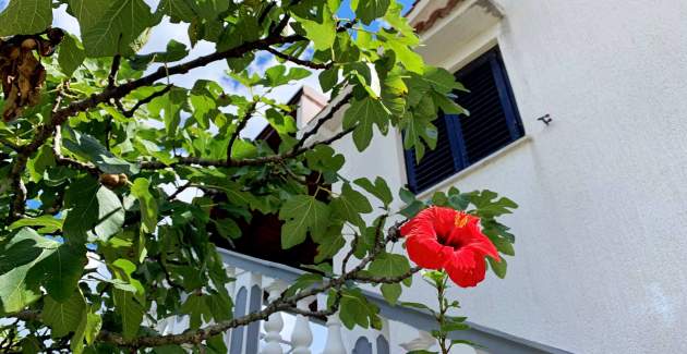 Appartamento Horvat 2 – Vista mare