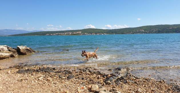 Appartamento Sally – 100 m dal mare
