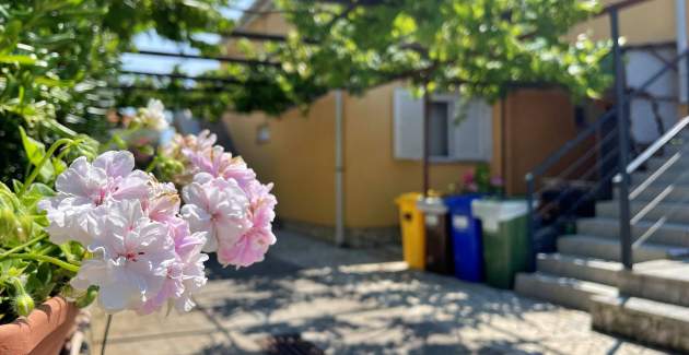 Appartamento Mara A4 – Terrazza e vista giardino