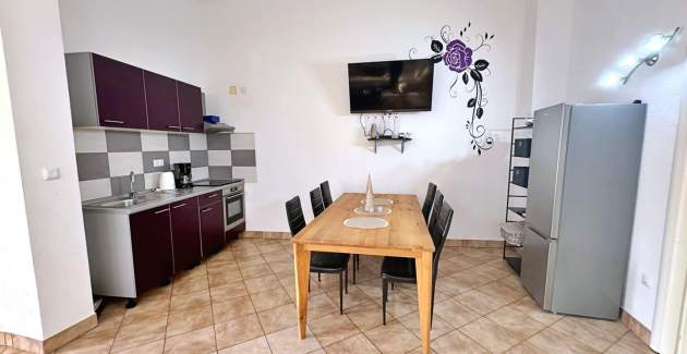 Top Apartment 2 – Pet- and Wheelchair-frendly