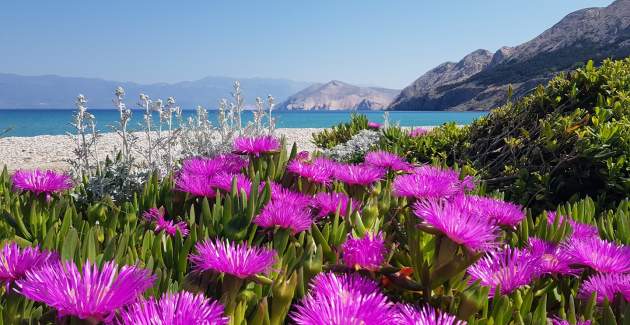 Apartman Gorica 2 br.9 – s balkonom i bazenom