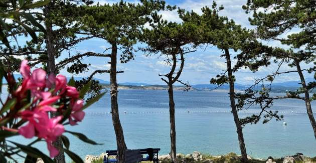 Apartments Zeljka – 15 m from Sea, Sea View