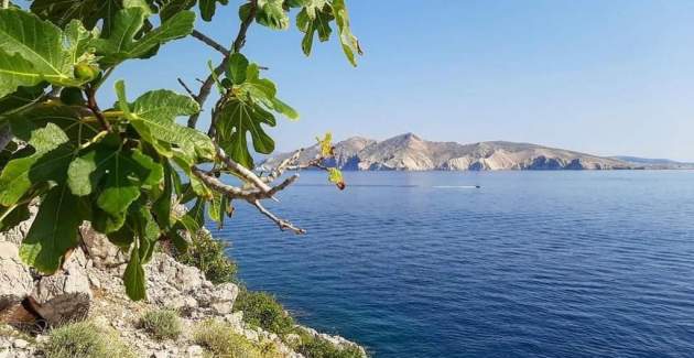 Appartamento Garden n. 1 – con piscina
