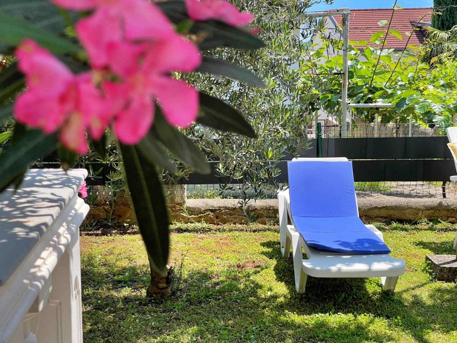 Appartamento Mara A4 – Terrazza e vista giardino
