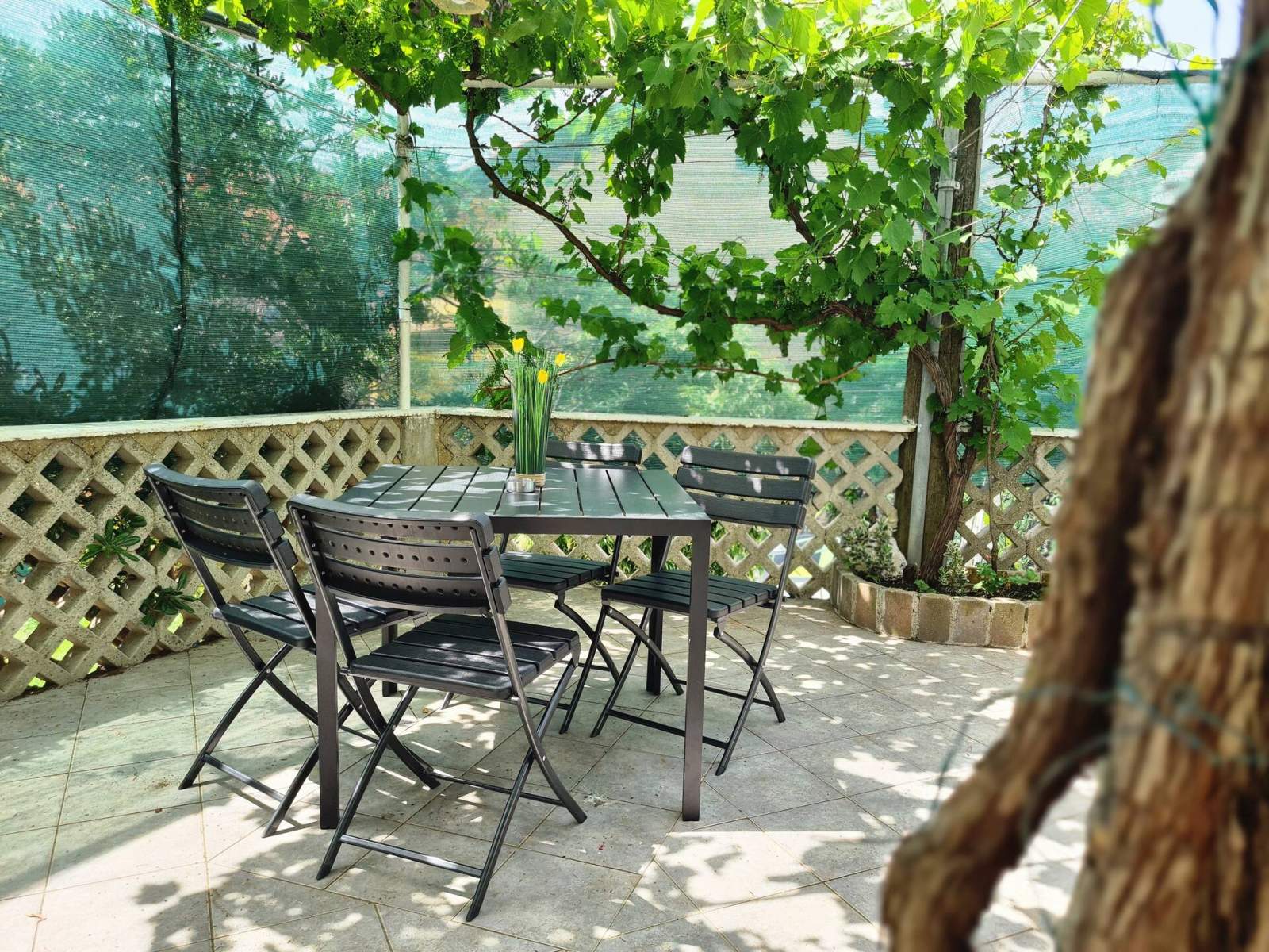 Apartman Bugi PRIZ - u prizemlju, s terasom