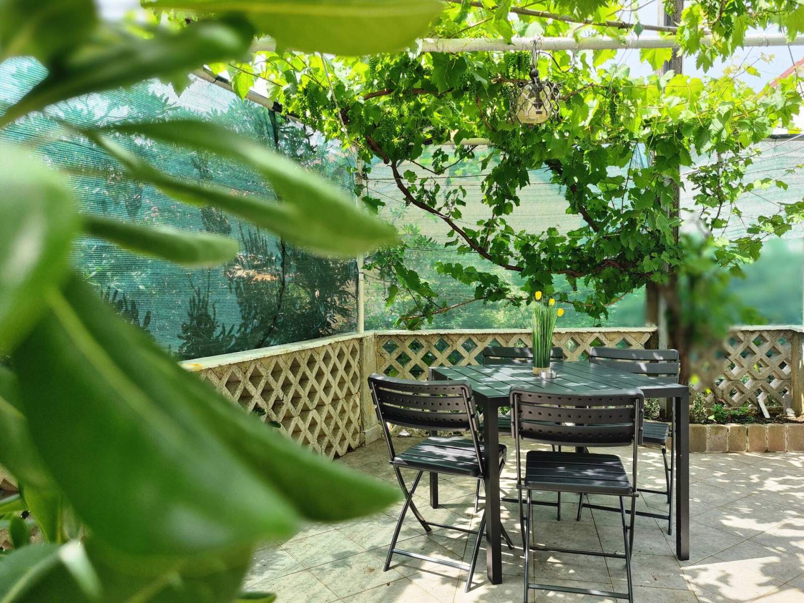 Apartman Bugi PRIZ - u prizemlju, s terasom