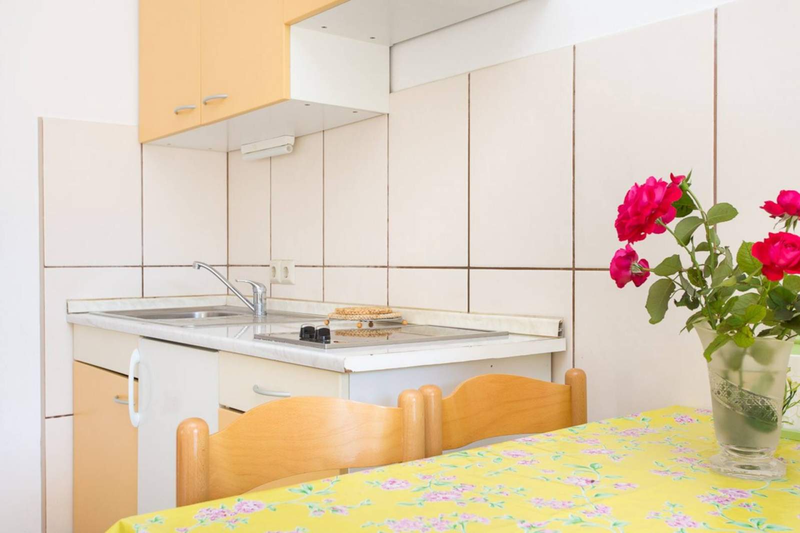 Apartman Zic br. 3 - s terasom, 350 m od plaže